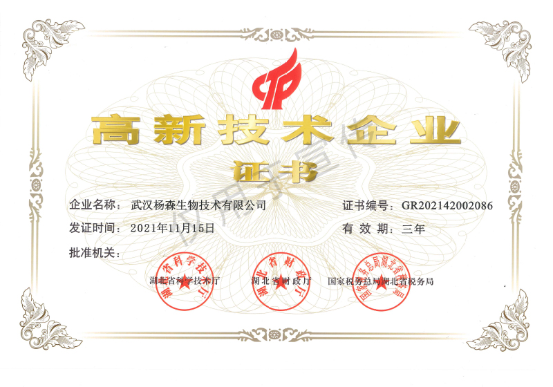 高新技术企业